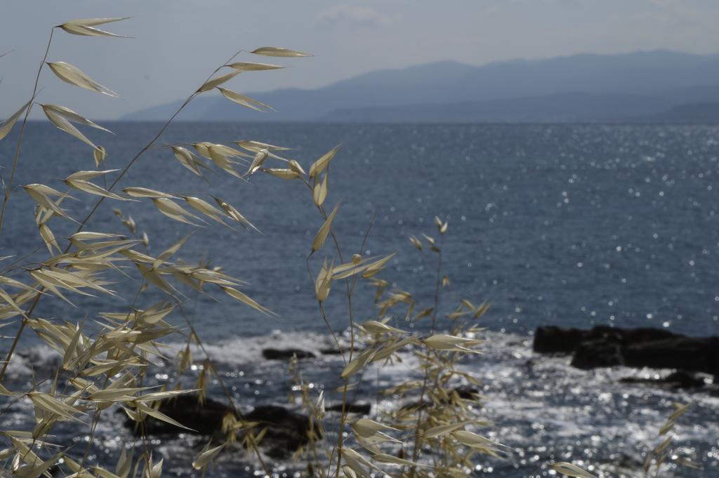 Andromeda Apartments & Studios Hersonissos  Dış mekan fotoğraf